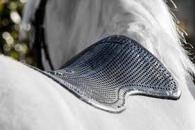 Close-up of a horse wearing a protective bridle cover on a blurred background