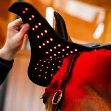 Red Light Therapy Poll Pad For Horses