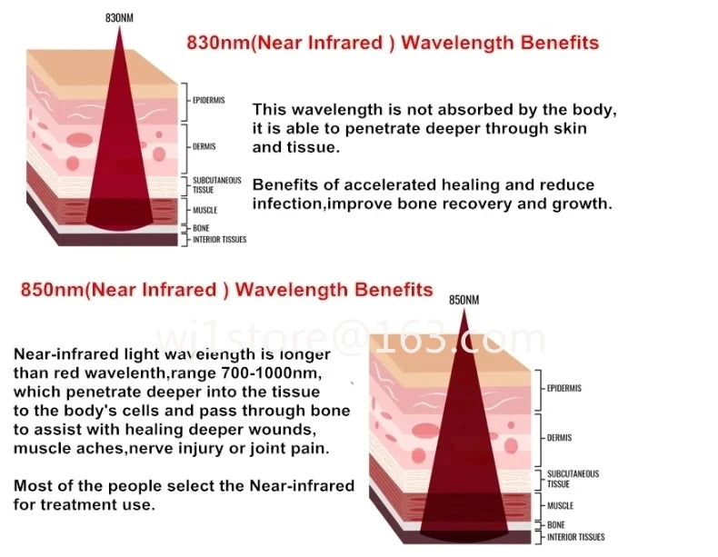 2026latest-modelHorse-Red-Light-Therapy-660-nm-850-nm-Horse-Therapy-Universal-Size-Rapid-Pain-Recovery.jpg