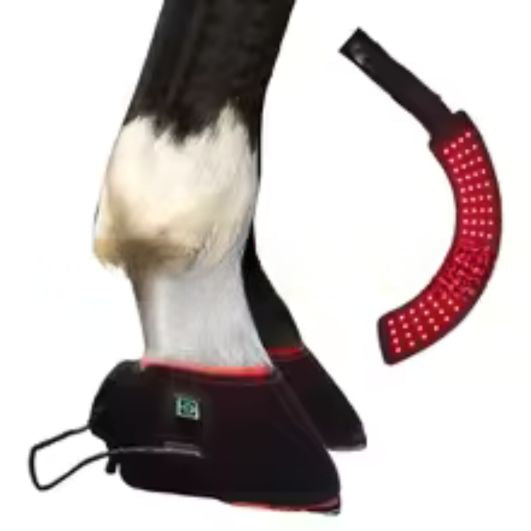 Transform Your Horse's Health with the T045-B Red Light Therapy Hoof Boot - Advanced Pain Relief with 660Nm & 850Nm Technology!