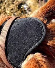 Transform Your Pet's Health with the Easy Equine Poll Red Light Therapy Pad - Advanced Infrared Healing for Horses, Dogs, and Cats