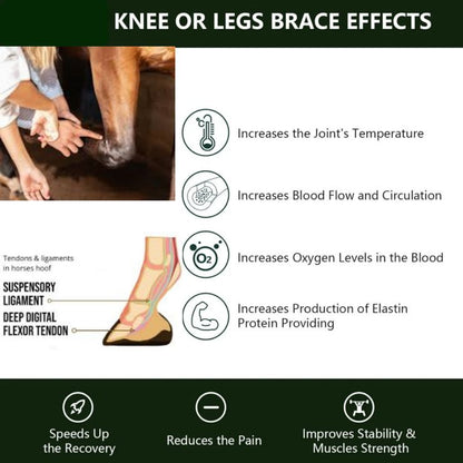 Easy Equine Introduces The Halo, The Revolutionary Red Light Therapy Device with Vibration Massage for Horses That Fits in Your Hand or Affixes to Your Horse for Hands Free