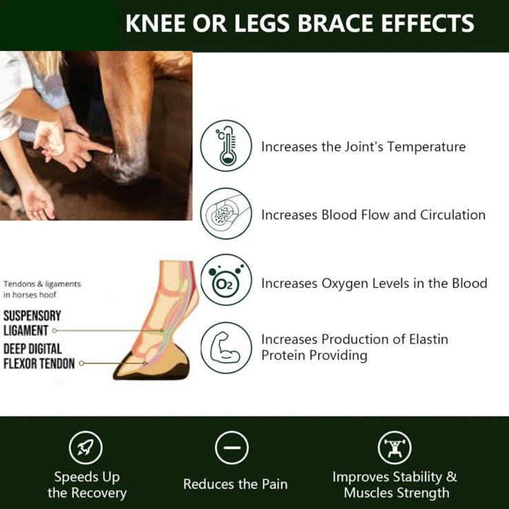 Easy Equine's ArenaPro 2026 Advanced Red Light Therapy Tendon Boots -Make it Apart of Your Horses Daily Recovery in Competition Season