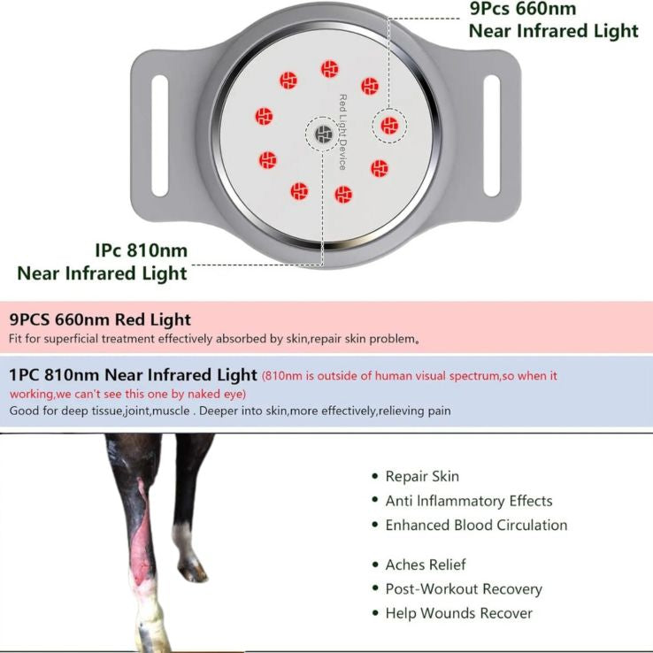 Easy Equine's ArenaPro 2026 Advanced Red Light Therapy Tendon Boots -Make it Apart of Your Horses Daily Recovery in Competition Season