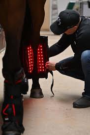 Easy Equine's ArenaPro 2026 Advanced Red Light Therapy Tendon Boots -Make it Apart of Your Horses Daily Recovery in Competition Season