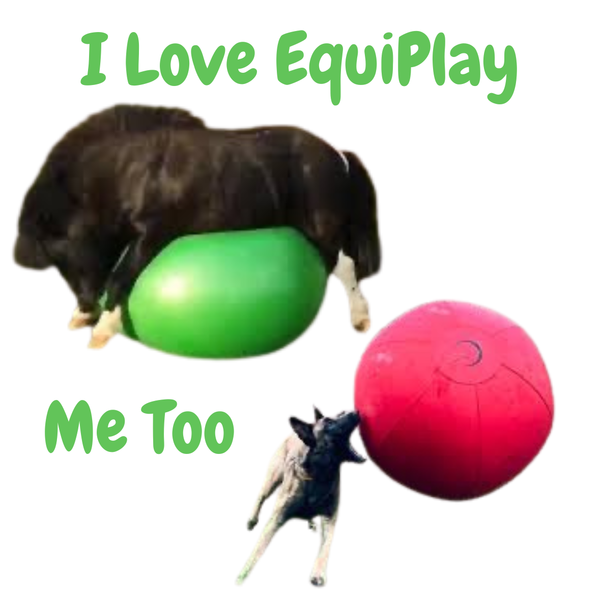 40” Horse Herding Ball Toy | EquiPlay™ Enrichment & Training Ball