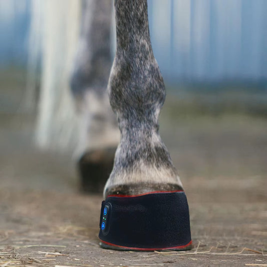 Transform Your Horse's Health with the T045-B Red Light Therapy Hoof Boot - Advanced Pain Relief with 660Nm & 850Nm Technology!
