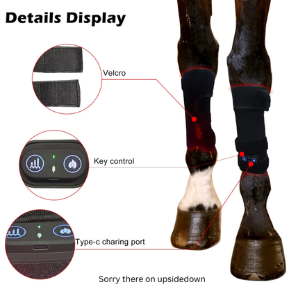 Horse Red Light Therapy 2 Medium Tendon Boots