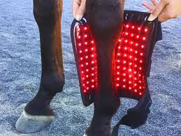 Horse Red Light Therapy Boots, Model 2026 Made For All Horses And All Discipline's - 660 Nm & 850 Nm  For Recovery, Relief and Release 