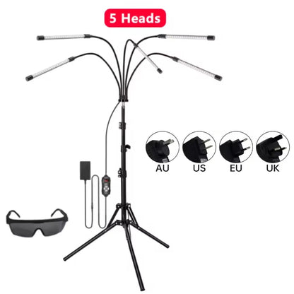 Easy Equine Revitalises Your Horses Health with Our Full Body Red Light Therapy Infrared LED Lamp for Pain Relief, Recovery and Release 