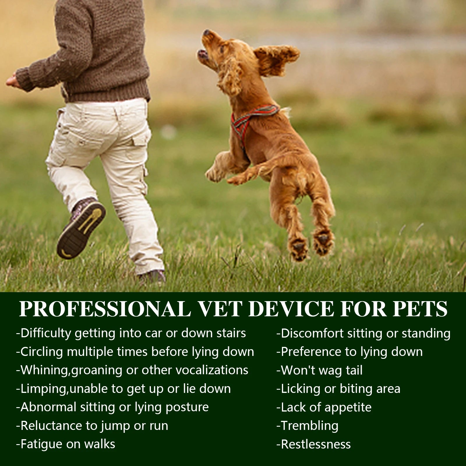 Easy Equine Introduces The Halo, The Revolutionary Red Light Therapy Device with Vibration Massage for Horses That Fits in Your Hand or Affixes to Your Horse for Hands Free