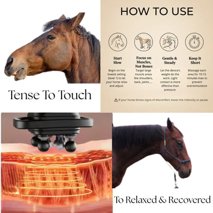 Product packaging for a horse massage tool with images of a horse and text on how to use it.
