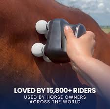 Mini 4-Head Horse Massage Gun | Equine Muscle Recovery & Relaxation