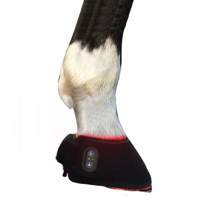 Horse hoof with a protective boot featuring a digital display on a white background