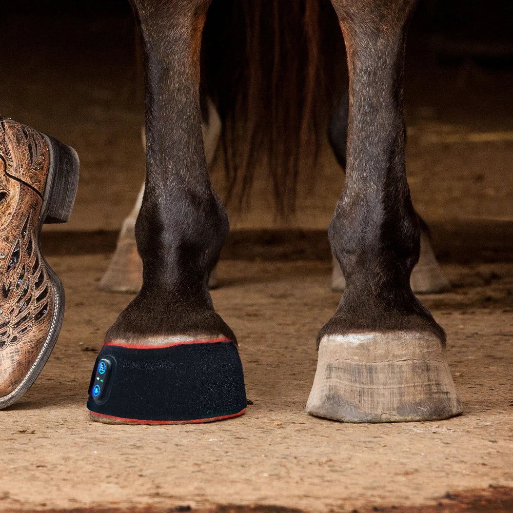 Horse's hoof with a protective boot and a person's foot for scale.