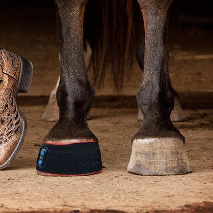 Horse's hoof with a protective boot and a person's foot for scale.
