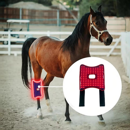 Horse with a red LED saddle pad in an outdoor setting