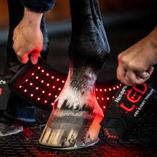 Person using a hoof pick on a horse's hoof with red LED lights in the background