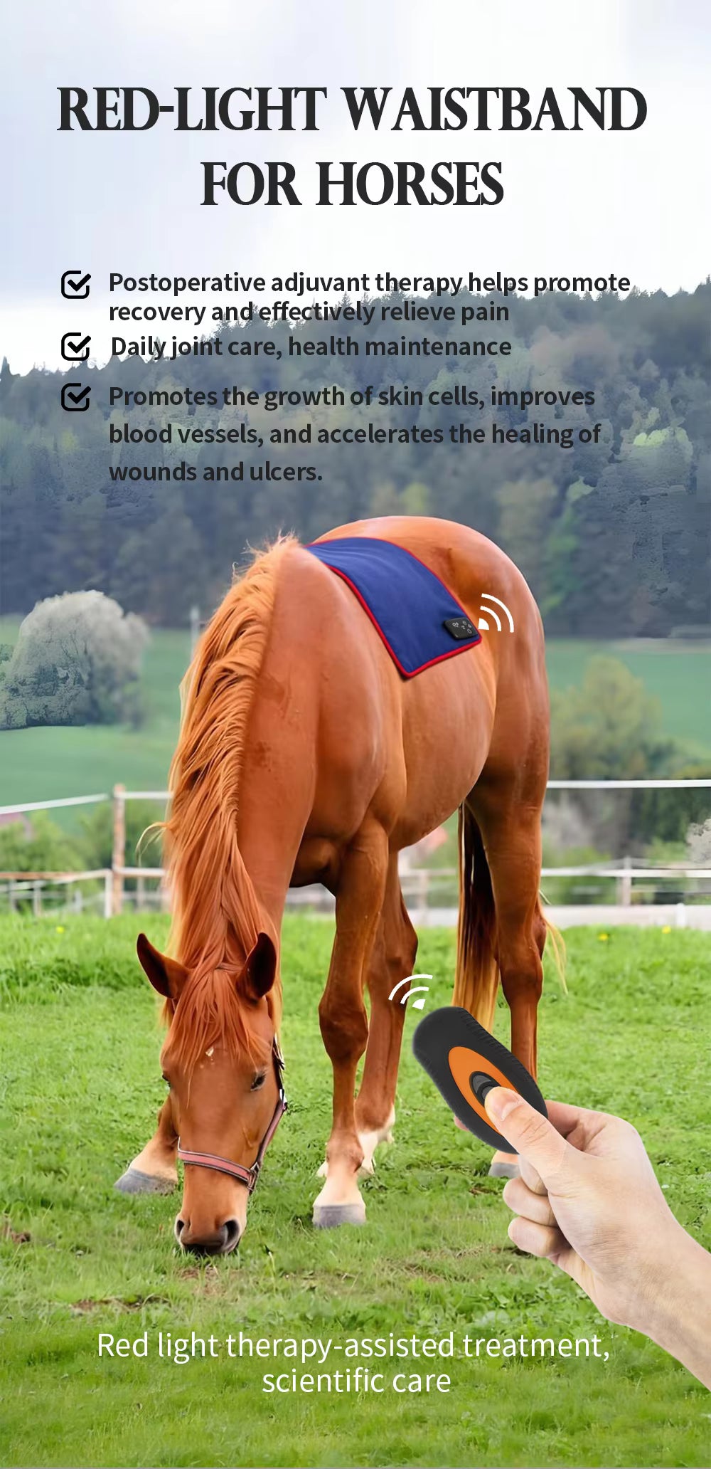 ArenaPro Red Light Therapy Pad 50cm x 50cm for horses