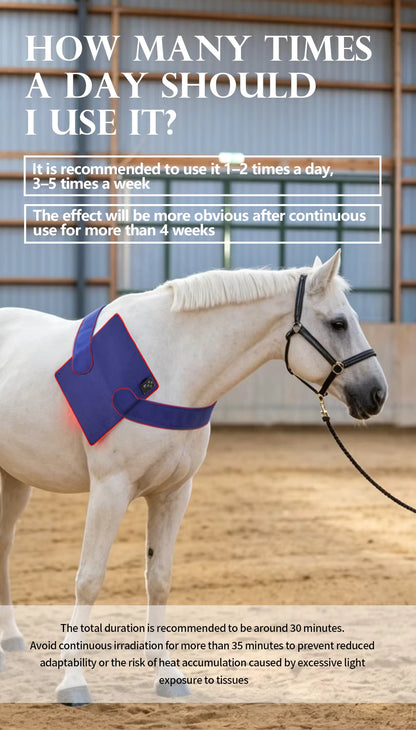 ArenaPro Red Light Therapy Pad 50cm x 50cm for horses