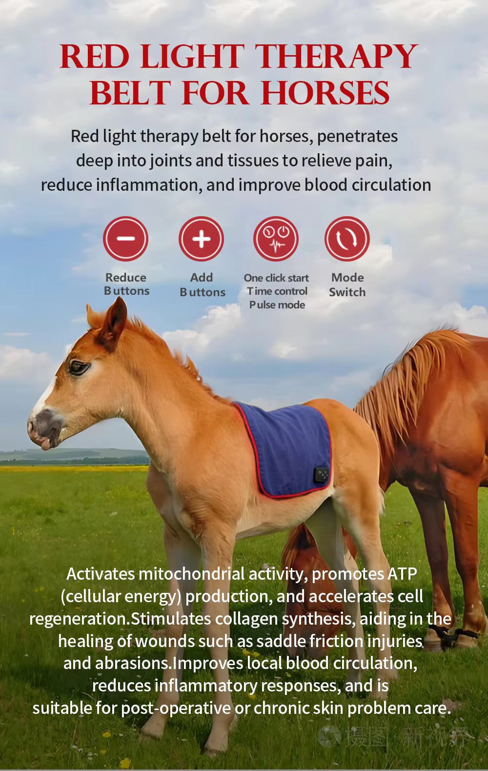ArenaPro Red Light Therapy Pad 50cm x 50cm for horses