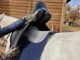 Person adjusting a blue saddle on a horse with a wooden stable in the background